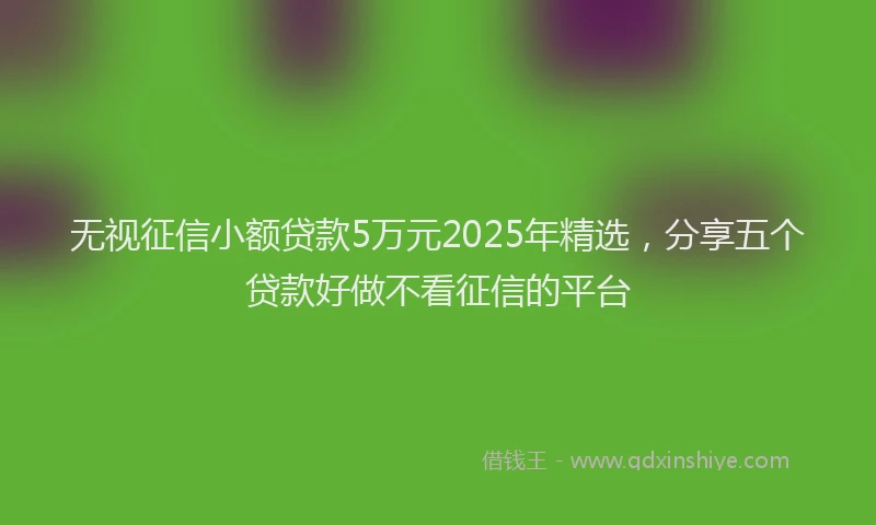 无视征信小额贷款5万元2025年精选，分享五个贷款好做不看征信的平台