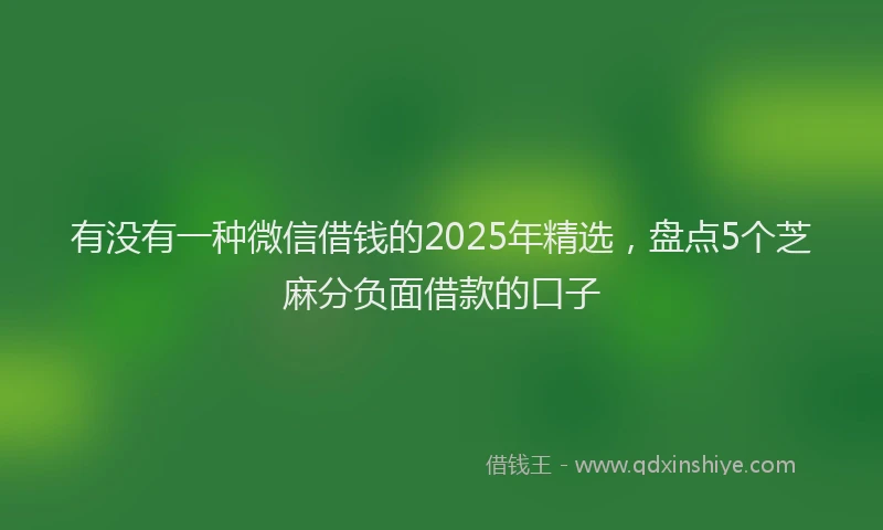 有没有一种微信借钱的2025年精选，盘点5个芝麻分负面借款的口子
