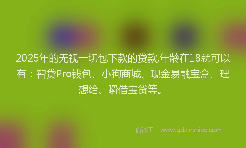 2025年的无视一切包下款的贷款,年龄在18就可以有：智贷Pro钱包、小狗商城、现金易融宝盒、理想给、瞬借宝贷等。