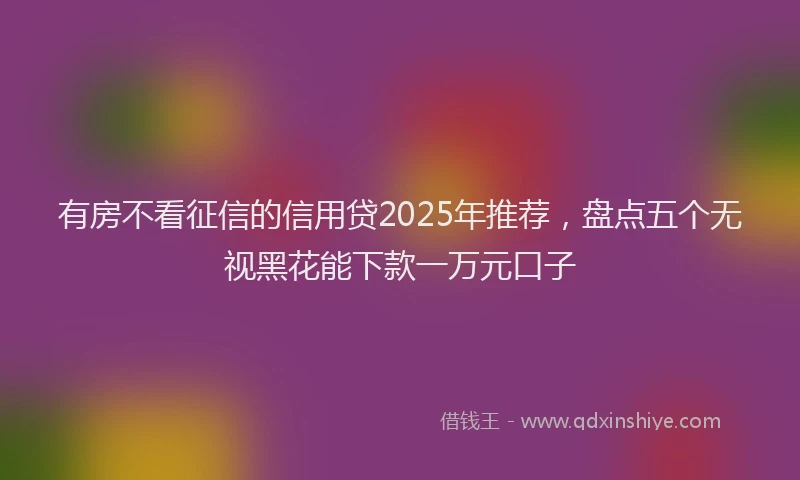 有房不看征信的信用贷2025年推荐，盘点五个无视黑花能下款一万元口子