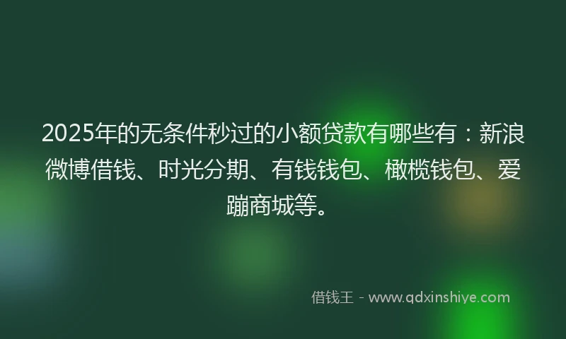 2025年的无条件秒过的小额贷款有哪些有：新浪微博借钱、时光分期、有钱钱包、橄榄钱包、爱蹦商城等。