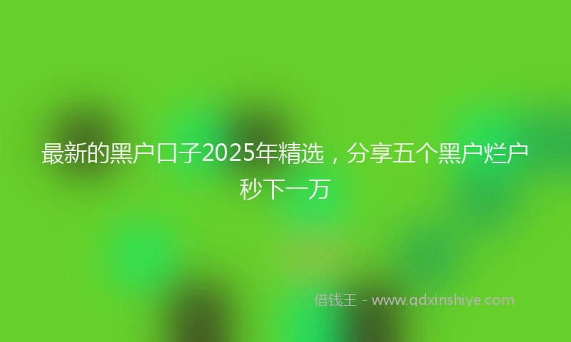 最新的黑户口子2025年精选，分享五个黑户烂户秒下一万