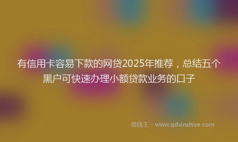 有信用卡容易下款的网贷2025年推荐，总结五个黑户可快速办理小额贷款业务的口子