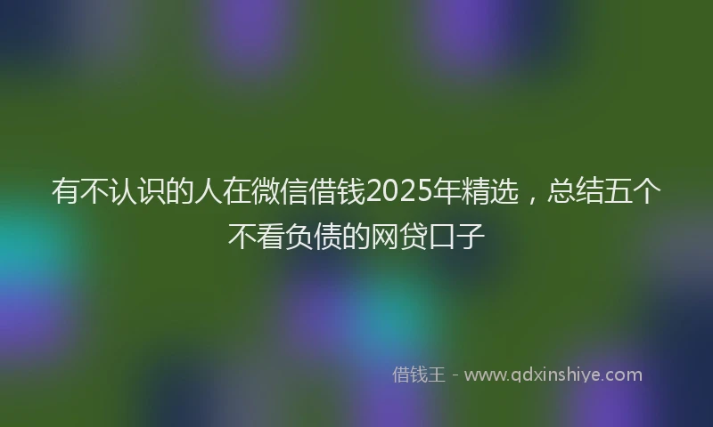 有不认识的人在微信借钱2025年精选，总结五个不看负债的网贷口子