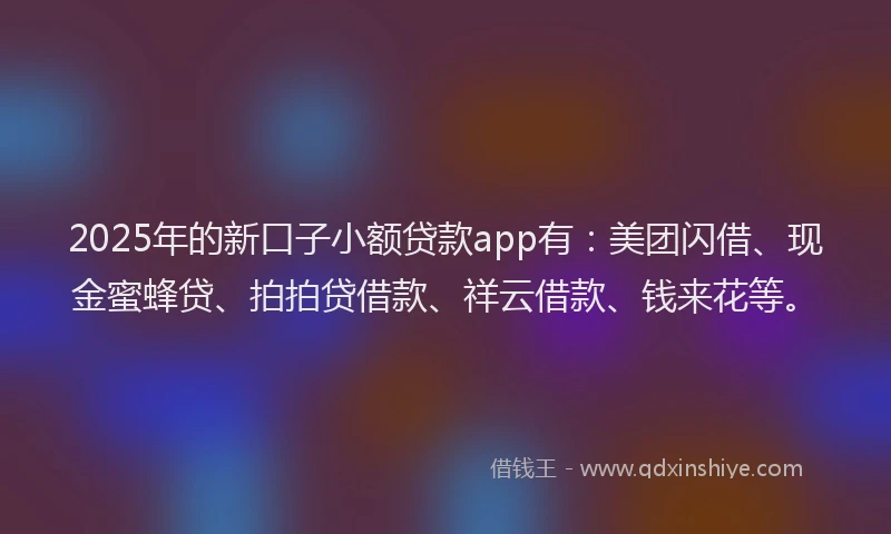 2025年的新口子小额贷款app有：美团闪借、现金蜜蜂贷、拍拍贷借款、祥云借款、钱来花等。