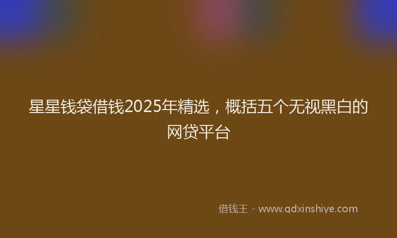星星钱袋借钱2025年精选，概括五个无视黑白的网贷平台