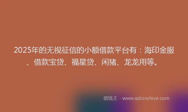 2025年的无视征信的小额借款平台有：海印金服、借款宝贷、福星贷、闲猪、龙龙用等。