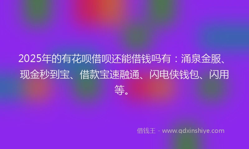 2025年的有花呗借呗还能借钱吗有：涌泉金服、现金秒到宝、借款宝速融通、闪电侠钱包、闪用等。