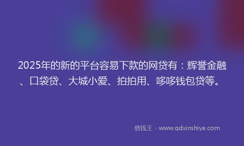 2025年的新的平台容易下款的网贷有：辉誉金融、口袋贷、大城小爱、拍拍用、哆哆钱包贷等。