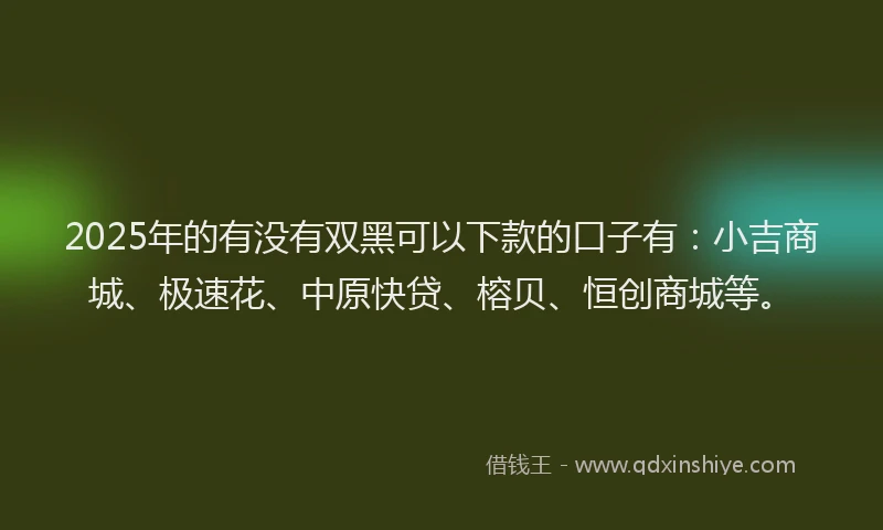 2025年的有没有双黑可以下款的口子有：小吉商城、极速花、中原快贷、榕贝、恒创商城等。
