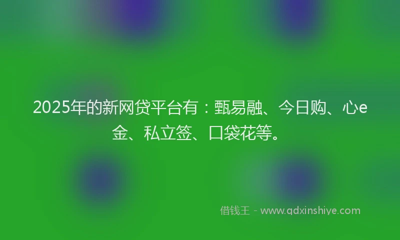 2025年的新网贷平台有：甄易融、今日购、心e金、私立签、口袋花等。