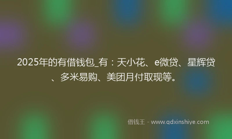 2025年的有借钱包_有：天小花、e微贷、星辉贷、多米易购、美团月付取现等。