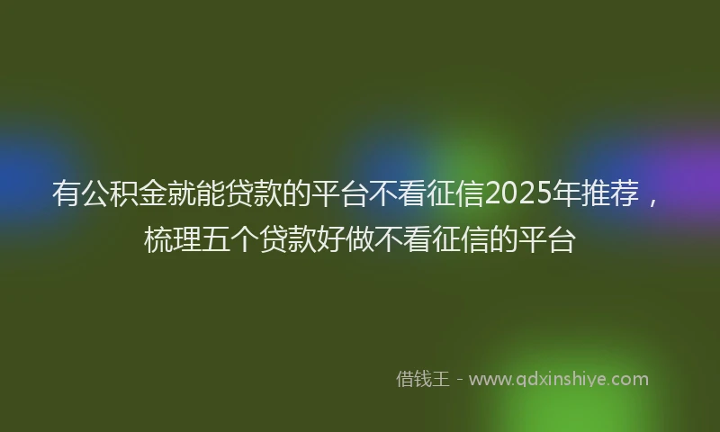 有公积金就能贷款的平台不看征信2025年推荐，梳理五个贷款好做不看征信的平台
