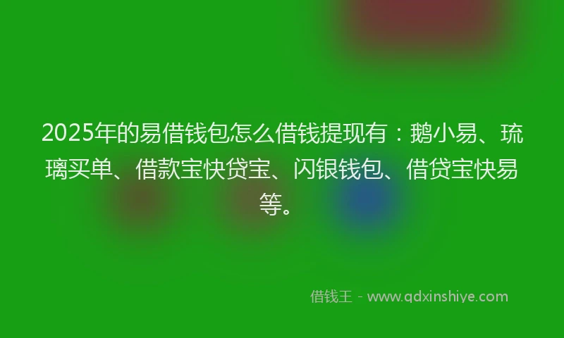 2025年的易借钱包怎么借钱提现有：鹅小易、琉璃买单、借款宝快贷宝、闪银钱包、借贷宝快易等。