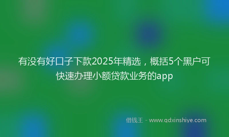 有没有好口子下款2025年精选，概括5个黑户可快速办理小额贷款业务的app