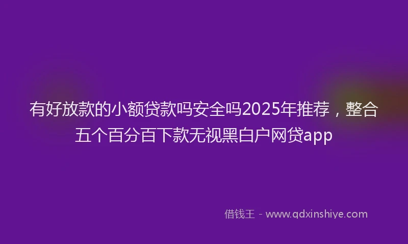 有好放款的小额贷款吗安全吗2025年推荐，整合五个百分百下款无视黑白户网贷app
