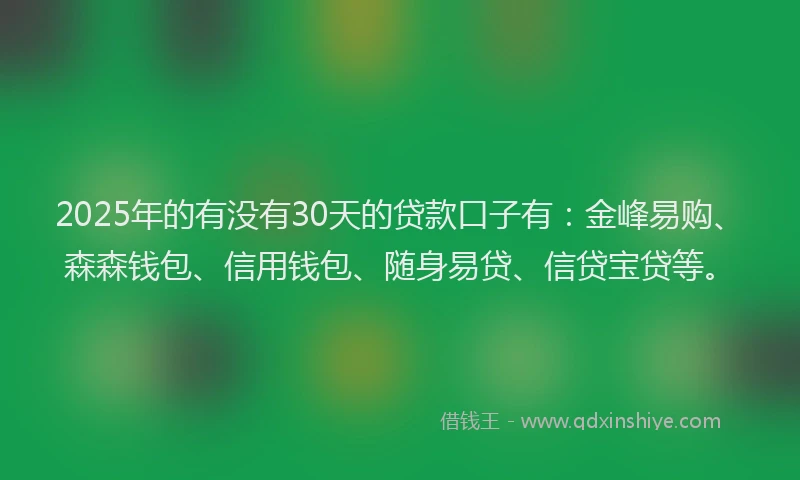 2025年的有没有30天的贷款口子有：金峰易购、森森钱包、信用钱包、随身易贷、信贷宝贷等。