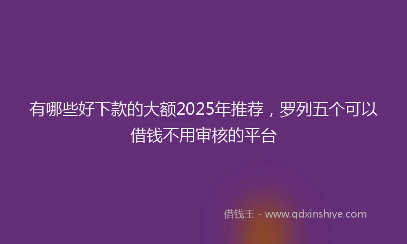 有哪些好下款的大额2025年推荐，罗列五个可以借钱不用审核的平台