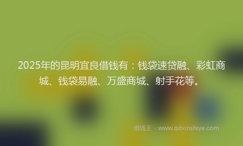 2025年的昆明宜良借钱有：钱袋速贷融、彩虹商城、钱袋易融、万盛商城、射手花等。