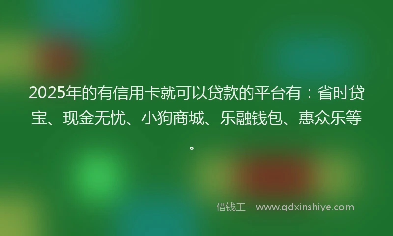 2025年的有信用卡就可以贷款的平台有：省时贷宝、现金无忧、小狗商城、乐融钱包、惠众乐等。