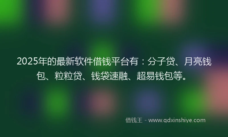 2025年的最新软件借钱平台有：分子贷、月亮钱包、粒粒贷、钱袋速融、超易钱包等。