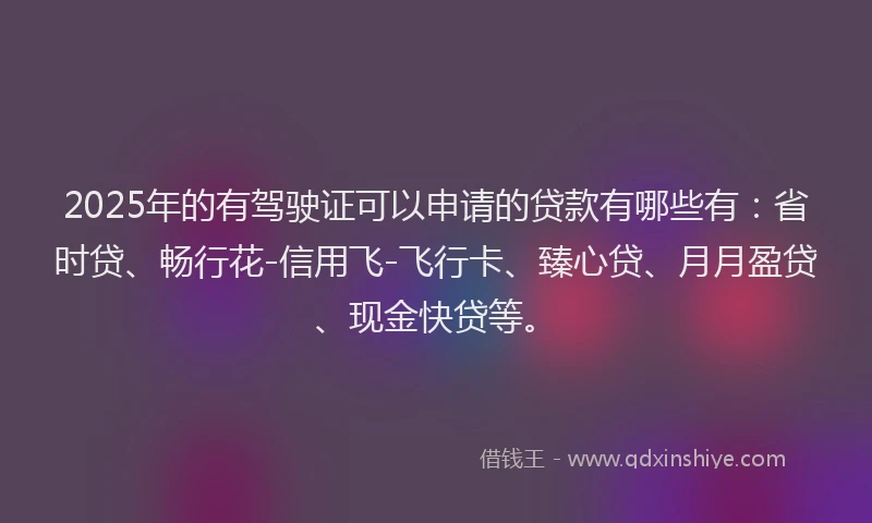 2025年的有驾驶证可以申请的贷款有哪些有：省时贷、畅行花-信用飞-飞行卡、臻心贷、月月盈贷、现金快贷等。