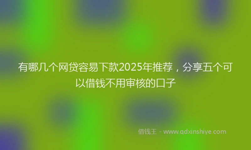 有哪几个网贷容易下款2025年推荐，分享五个可以借钱不用审核的口子