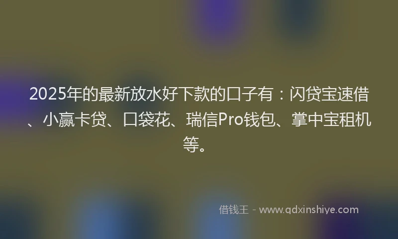 2025年的最新放水好下款的口子有：闪贷宝速借、小赢卡贷、口袋花、瑞信Pro钱包、掌中宝租机等。