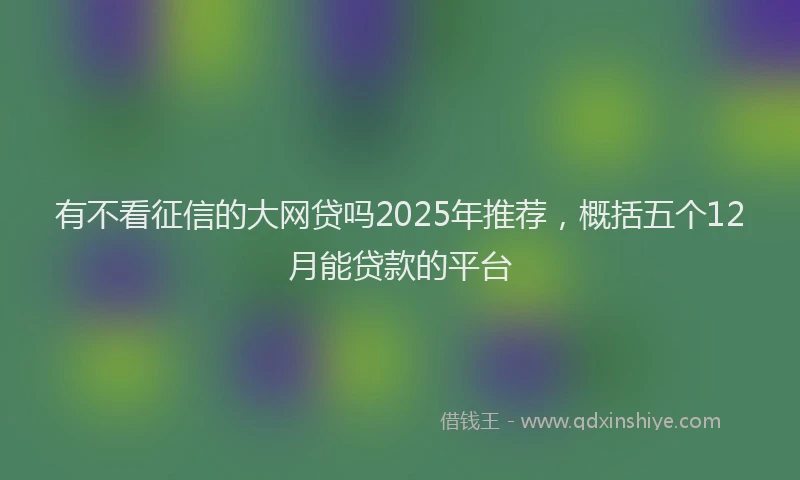 有不看征信的大网贷吗2025年推荐，概括五个12月能贷款的平台