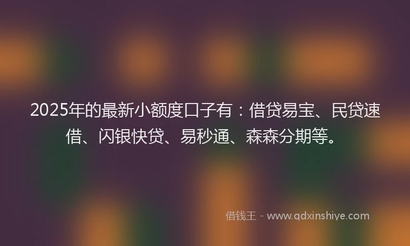 2025年的最新小额度口子有：借贷易宝、民贷速借、闪银快贷、易秒通、森森分期等。