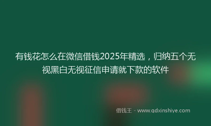 有钱花怎么在微信借钱2025年精选，归纳五个无视黑白无视征信申请就下款的软件