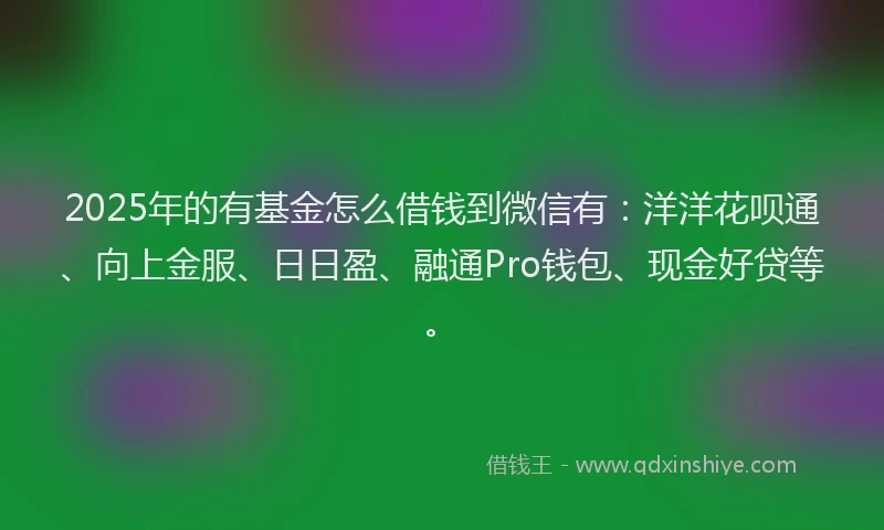 2025年的有基金怎么借钱到微信有：洋洋花呗通、向上金服、日日盈、融通Pro钱包、现金好贷等。