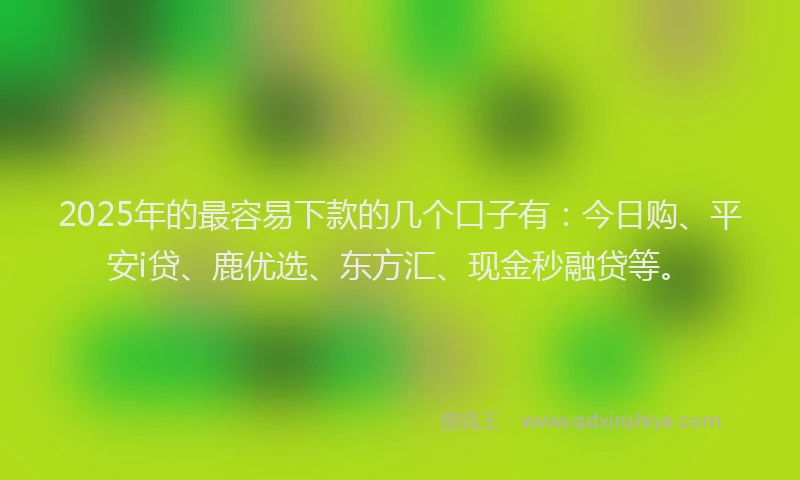 2025年的最容易下款的几个口子有：今日购、平安i贷、鹿优选、东方汇、现金秒融贷等。