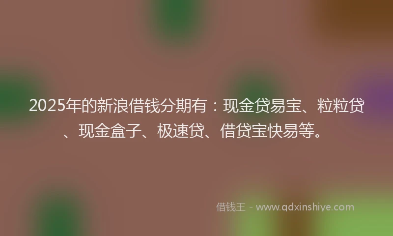 2025年的新浪借钱分期有：现金贷易宝、粒粒贷、现金盒子、极速贷、借贷宝快易等。