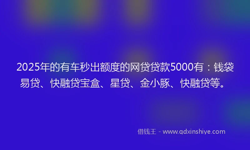 2025年的有车秒出额度的网贷贷款5000有：钱袋易贷、快融贷宝盒、星贷、金小豚、快融贷等。