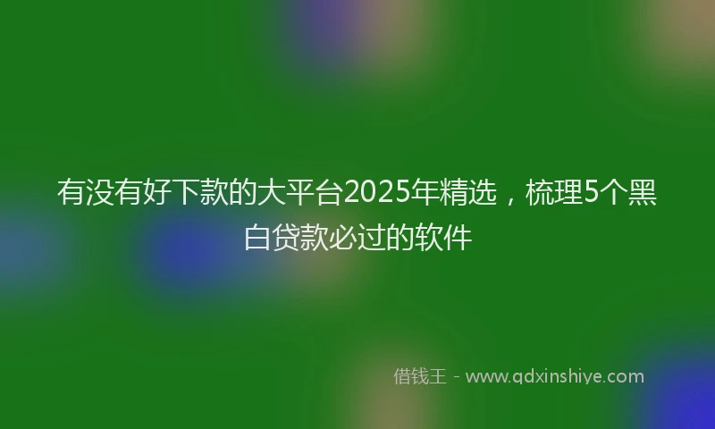 有没有好下款的大平台2025年精选，梳理5个黑白贷款必过的软件