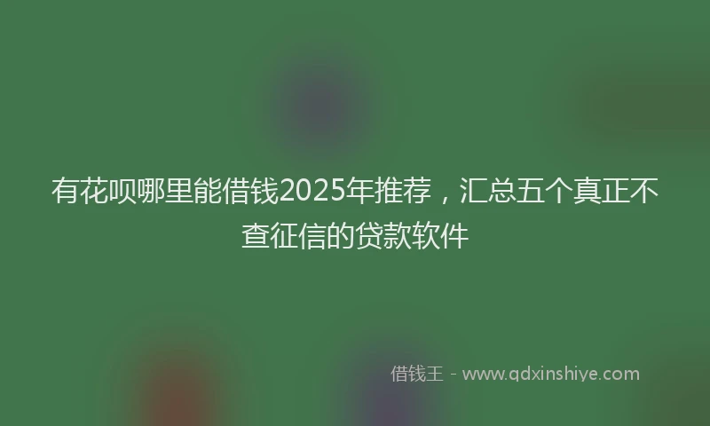 有花呗哪里能借钱2025年推荐，汇总五个真正不查征信的贷款软件