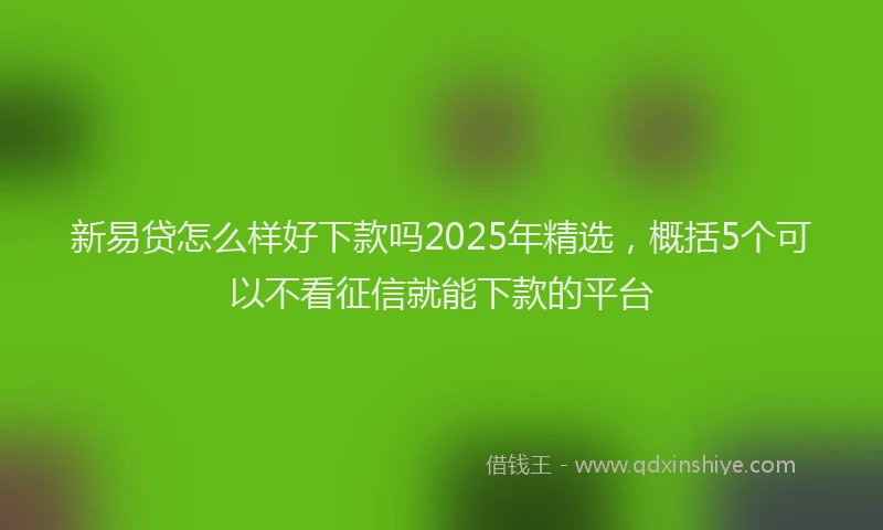 新易贷怎么样好下款吗2025年精选，概括5个可以不看征信就能下款的平台