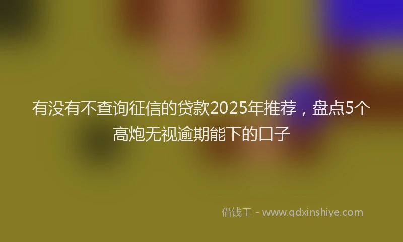有没有不查询征信的贷款2025年推荐，盘点5个高炮无视逾期能下的口子