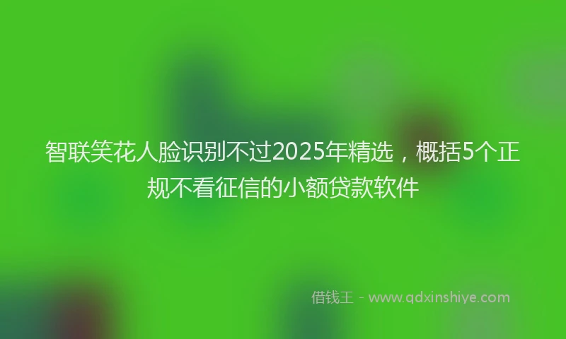 智联笑花人脸识别不过2025年精选，概括5个正规不看征信的小额贷款软件