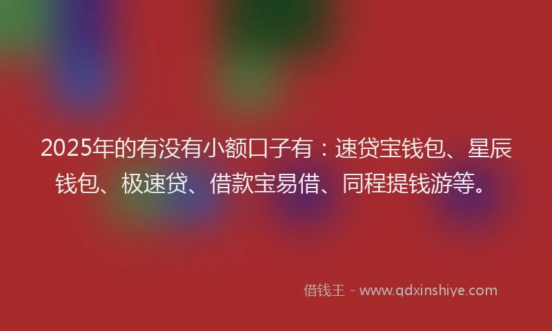 2025年的有没有小额口子有：速贷宝钱包、星辰钱包、极速贷、借款宝易借、同程提钱游等。