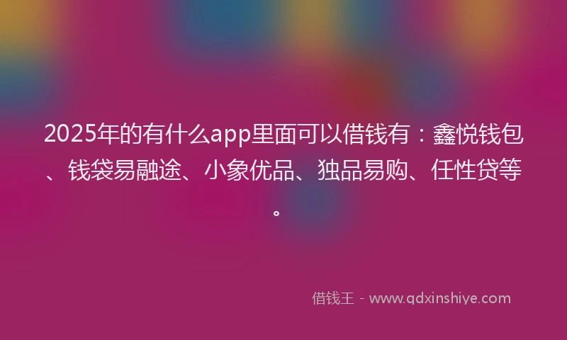 2025年的有什么app里面可以借钱有：鑫悦钱包、钱袋易融途、小象优品、独品易购、任性贷等。