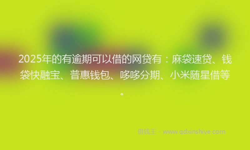 2025年的有逾期可以借的网贷有：麻袋速贷、钱袋快融宝、普惠钱包、哆哆分期、小米随星借等。