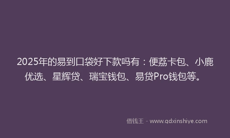 2025年的易到口袋好下款吗有：便荔卡包、小鹿优选、星辉贷、瑞宝钱包、易贷Pro钱包等。