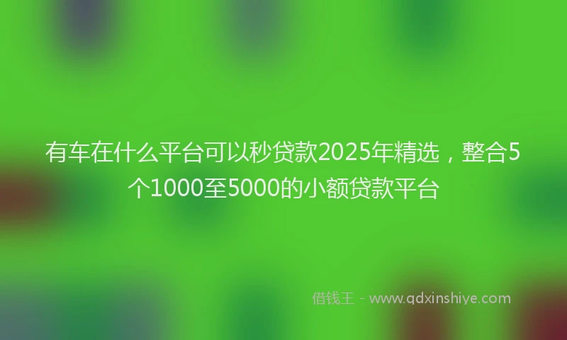 有车在什么平台可以秒贷款2025年精选，整合5个1000至5000的小额贷款平台