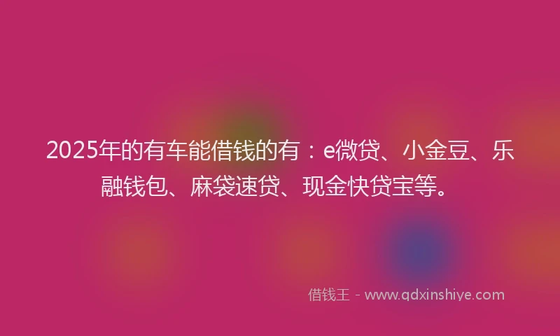 2025年的有车能借钱的有：e微贷、小金豆、乐融钱包、麻袋速贷、现金快贷宝等。