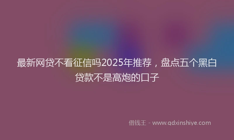 最新网贷不看征信吗2025年推荐，盘点五个黑白贷款不是高炮的口子