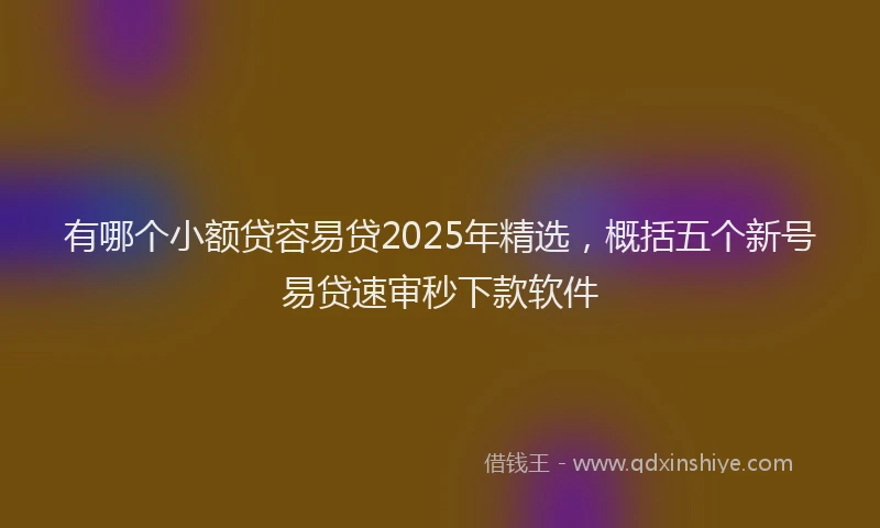有哪个小额贷容易贷2025年精选，概括五个新号易贷速审秒下款软件