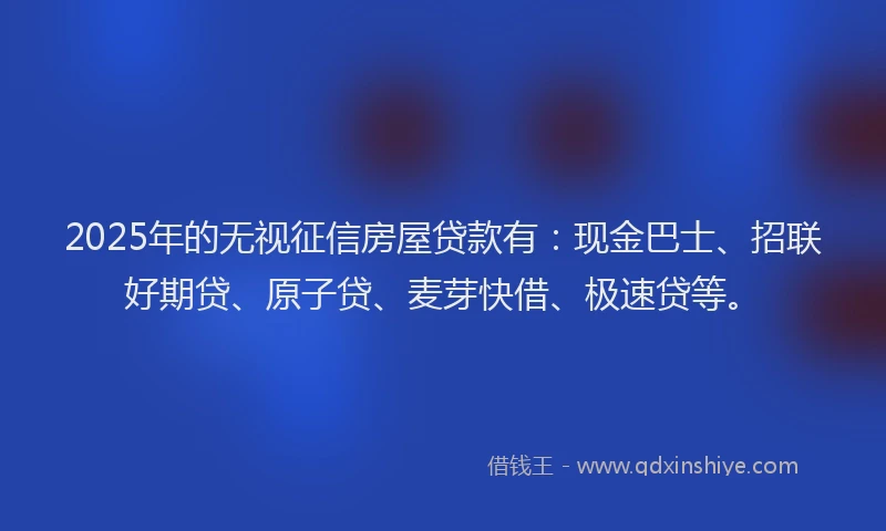 2025年的无视征信房屋贷款有：现金巴士、招联好期贷、原子贷、麦芽快借、极速贷等。
