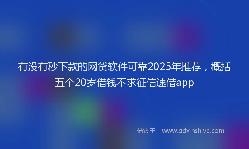 有没有秒下款的网贷软件可靠2025年推荐，概括五个20岁借钱不求征信速借app